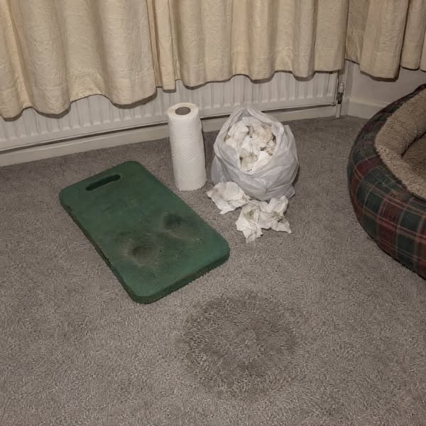 Delete That Dog Wee Smell