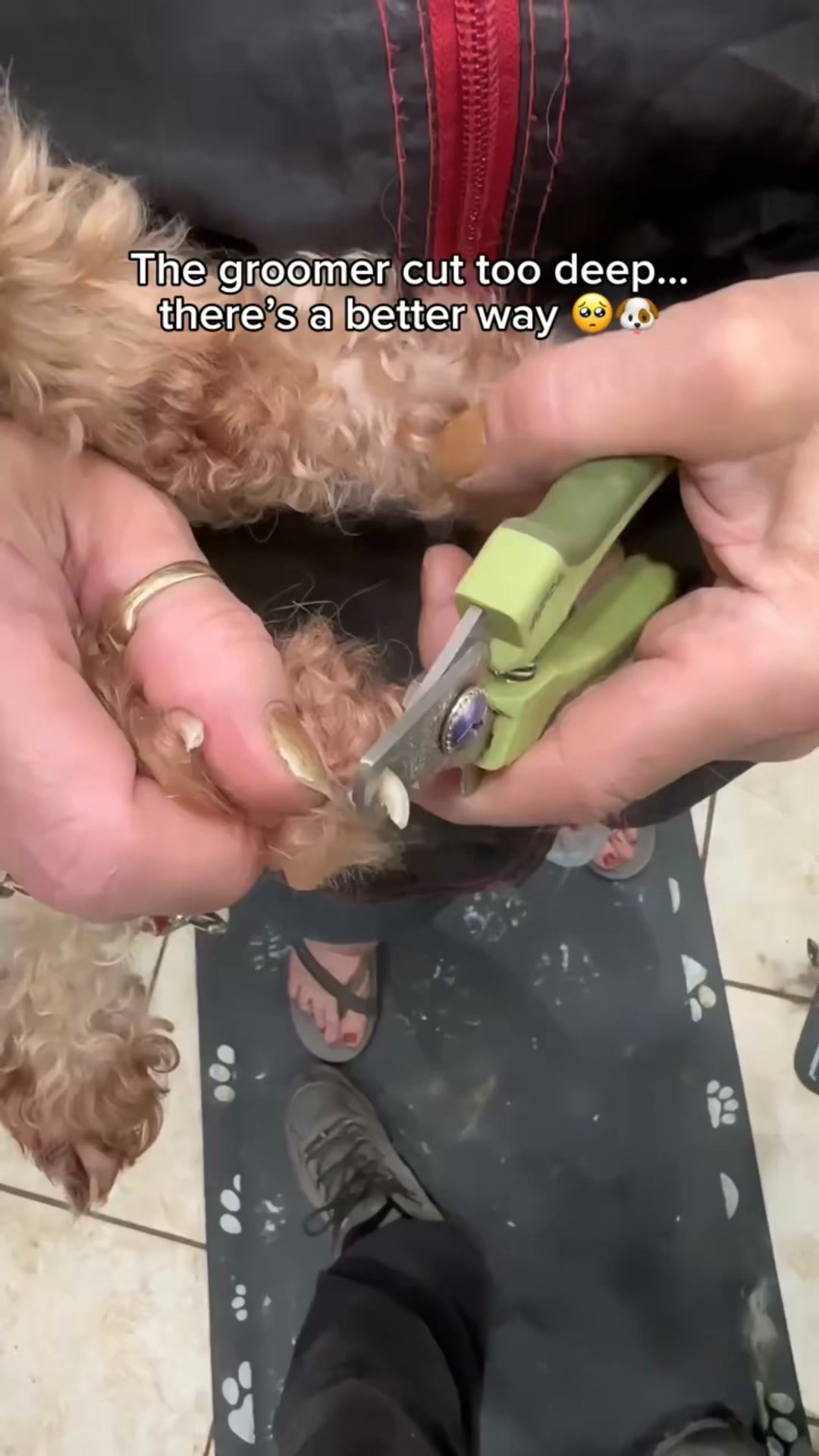 PawSerene Calm Nail Board