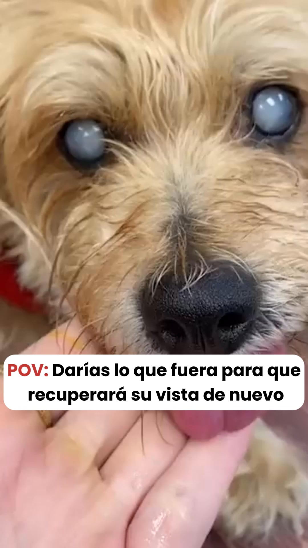 Cuida su vista