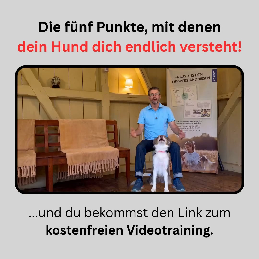 Jetzt ansehen