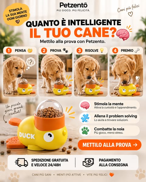 Quanto è intelligente il tuo cane?