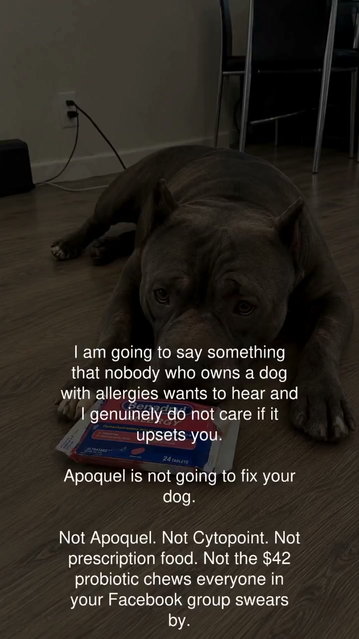Read This Before Your Next Vet Bill