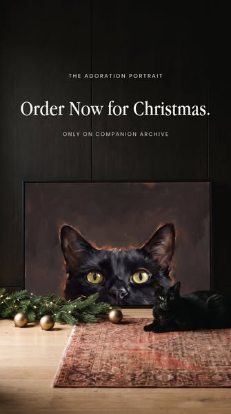 Order Early, Save 37%