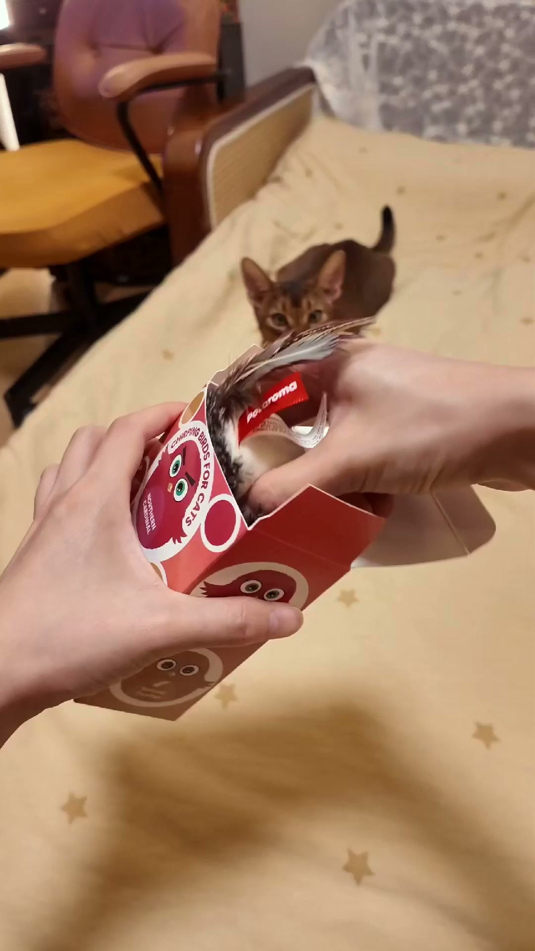 Het speeltje dat het jachtinstinct van je kat wakker maakt!