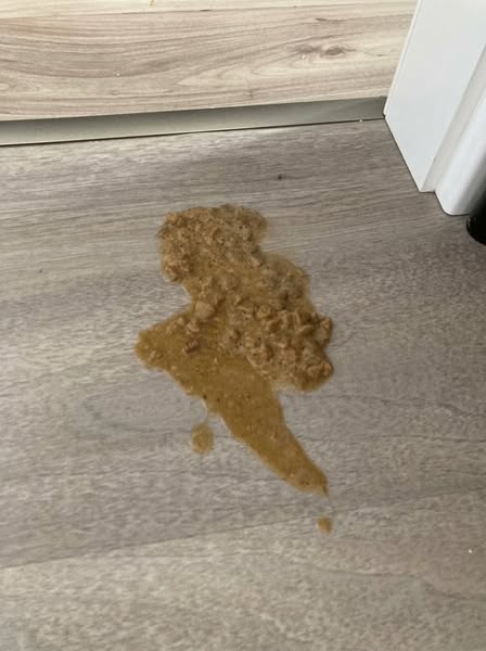 Zwei Stunden nach dem Abendessen. Unverändert. Wie im Napf