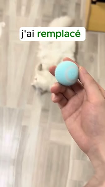 #1 Jouet pour chat contre l'ennui