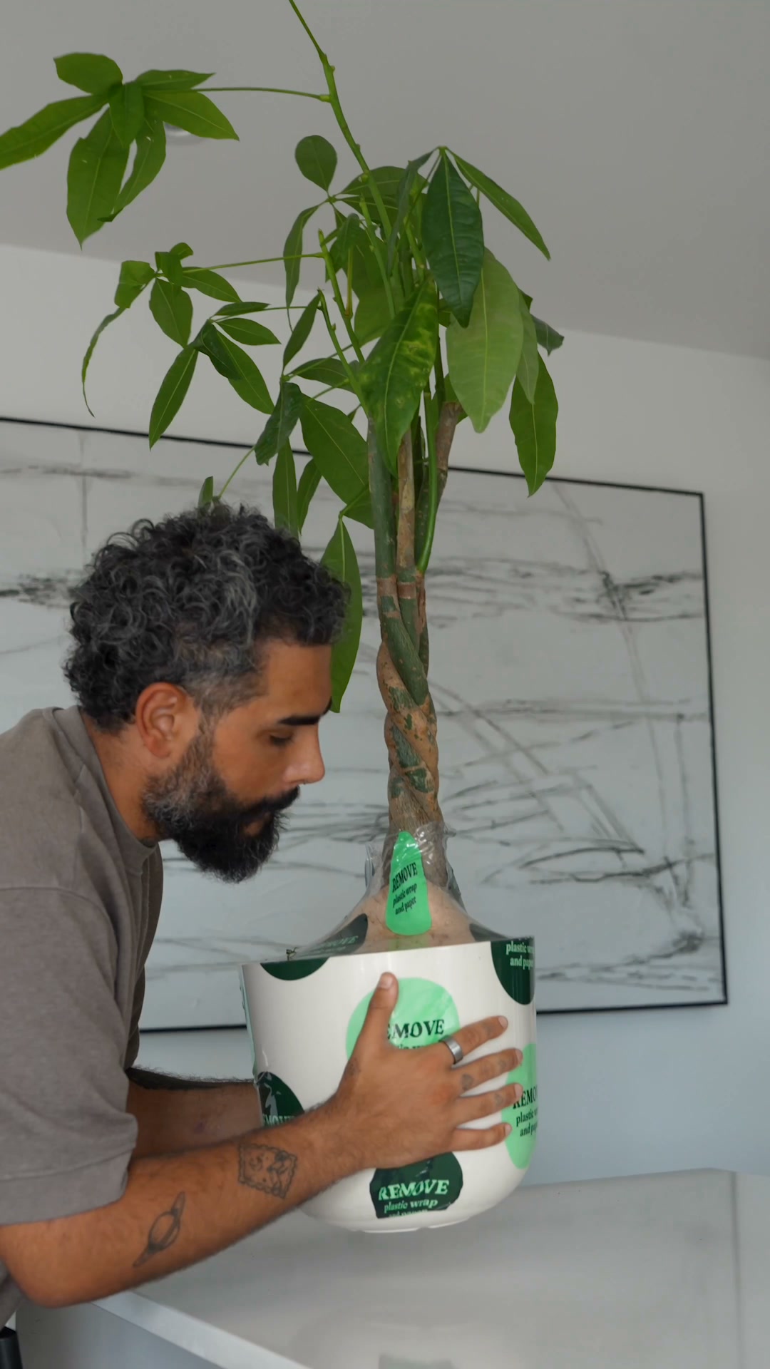 Des plantes qui s'arrosent toutes seules