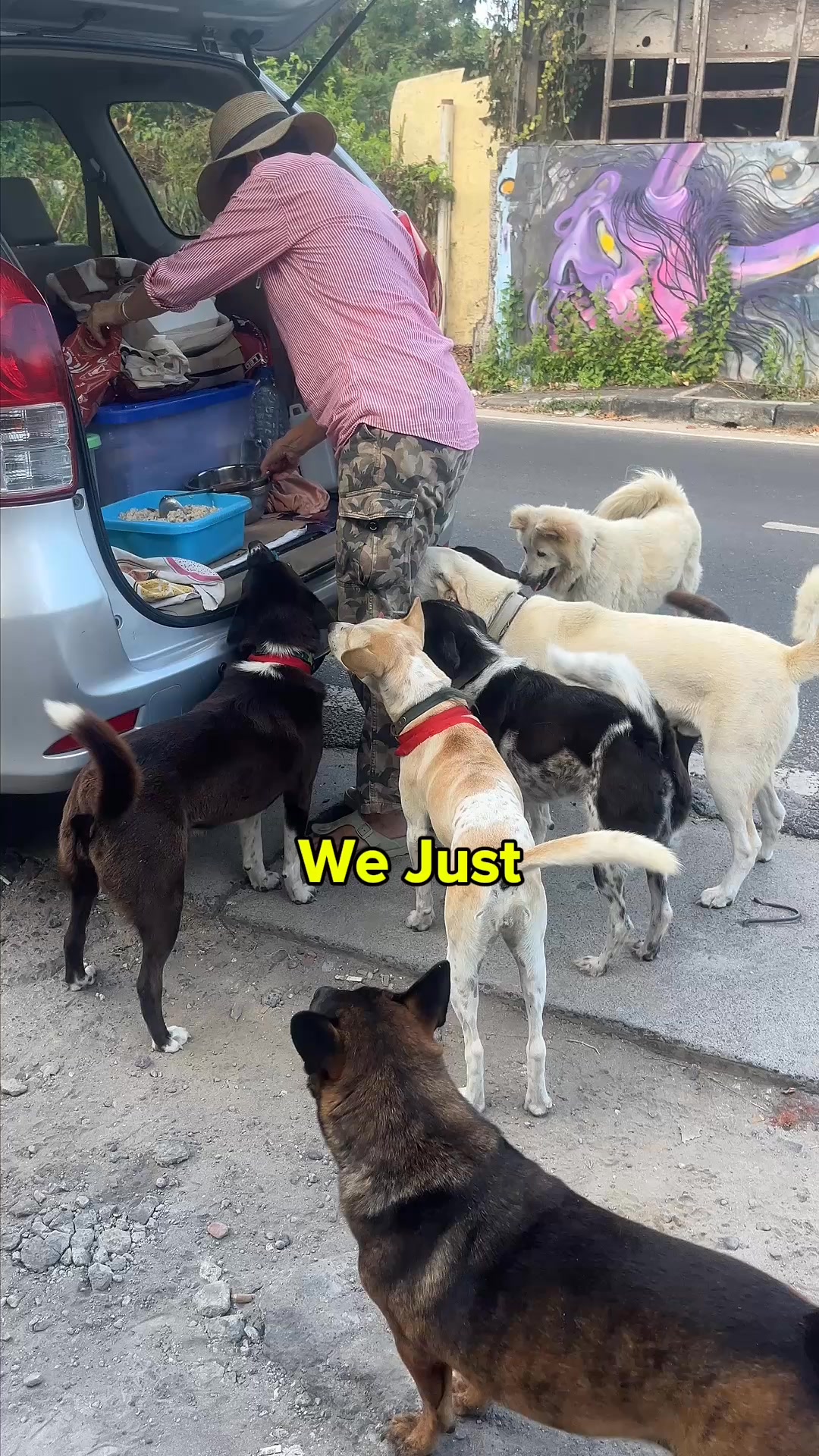 Rescue Paws Bracelet