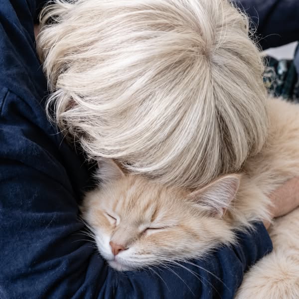 Lies das, um deine Katze zu schützen