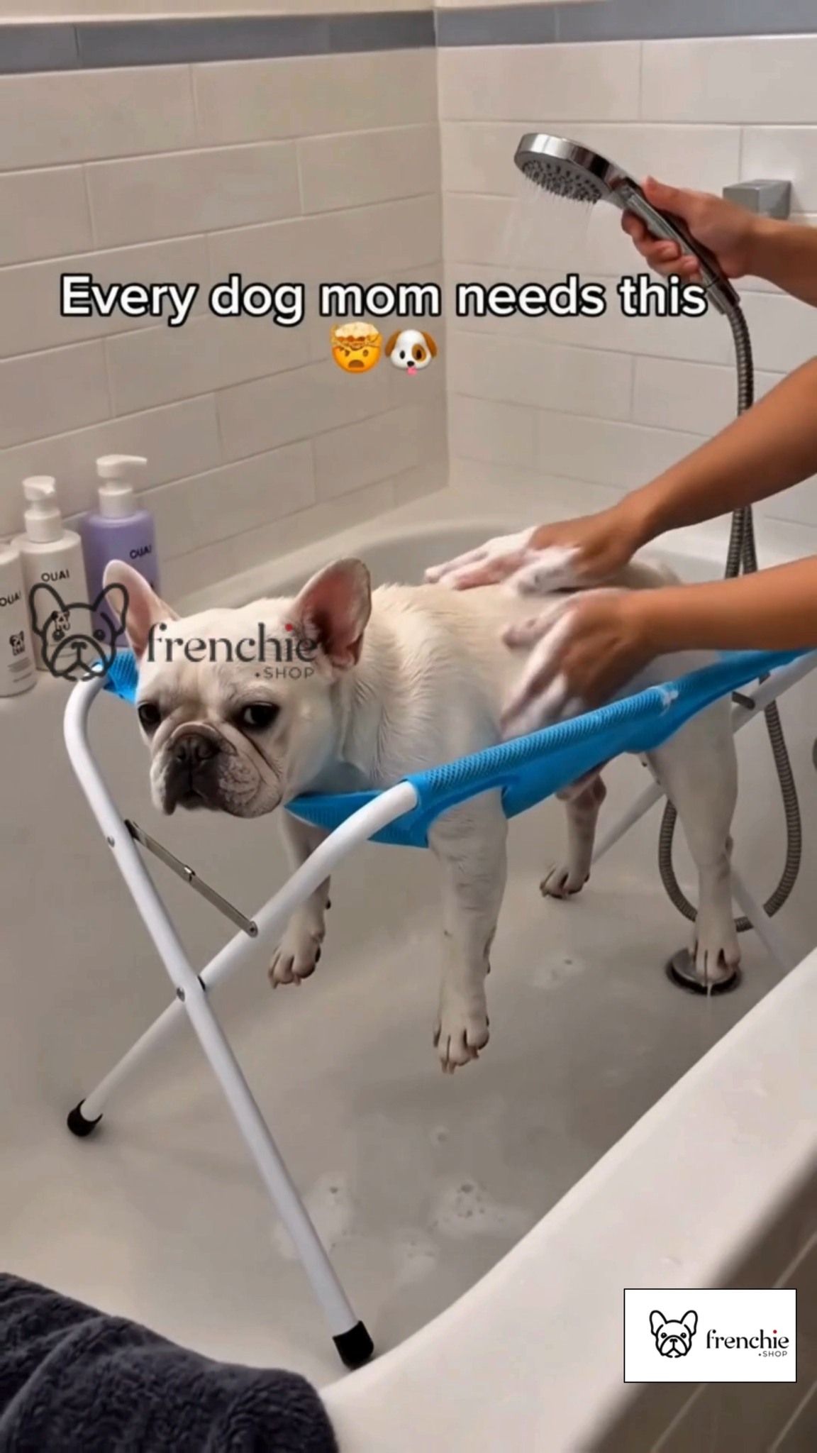 Anúncio de Frenchie Shop