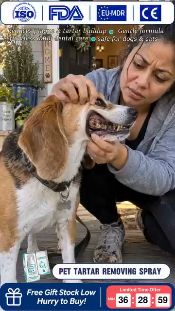 Fresh Breath in Seconds – No-Brush Pet Dental Foam Spray