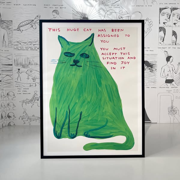 The Official David Shrigley Shop