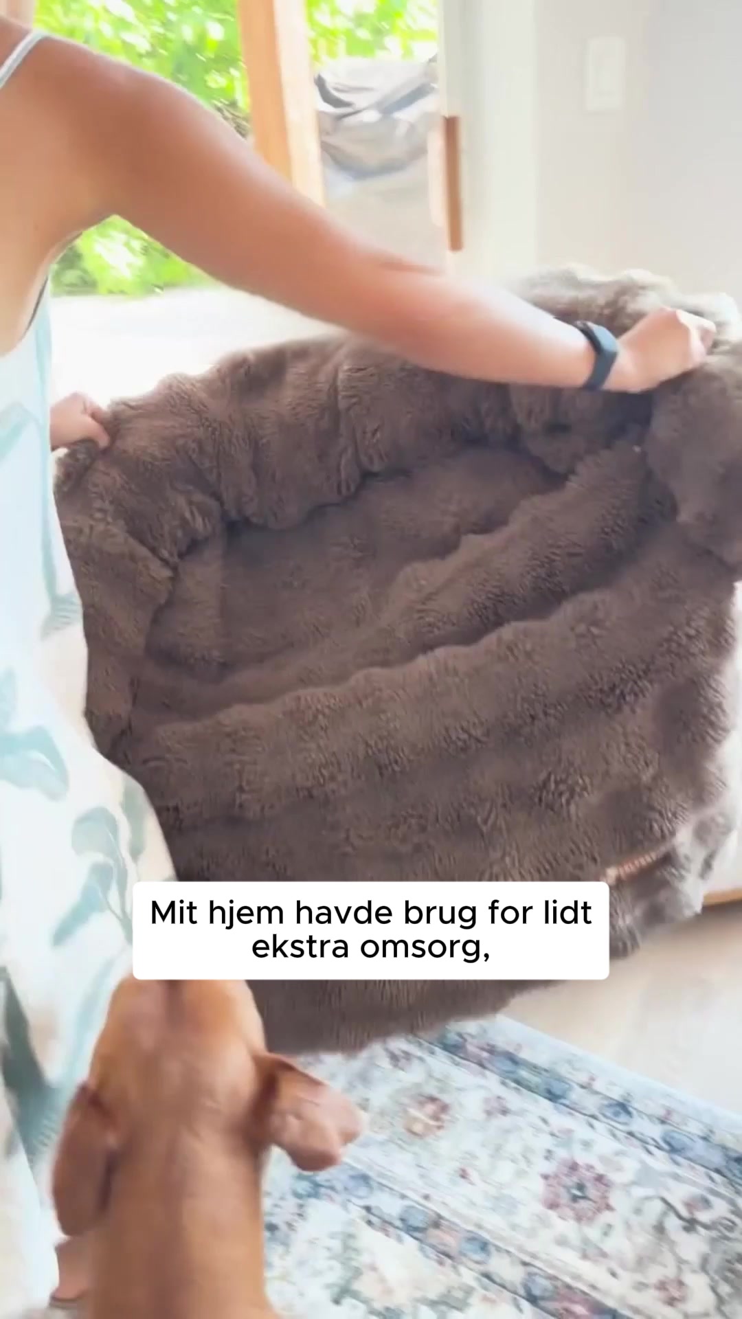 Dybere søvn til din hund – mindre uro i hverdagen med SnugPaws™ 4,8/5