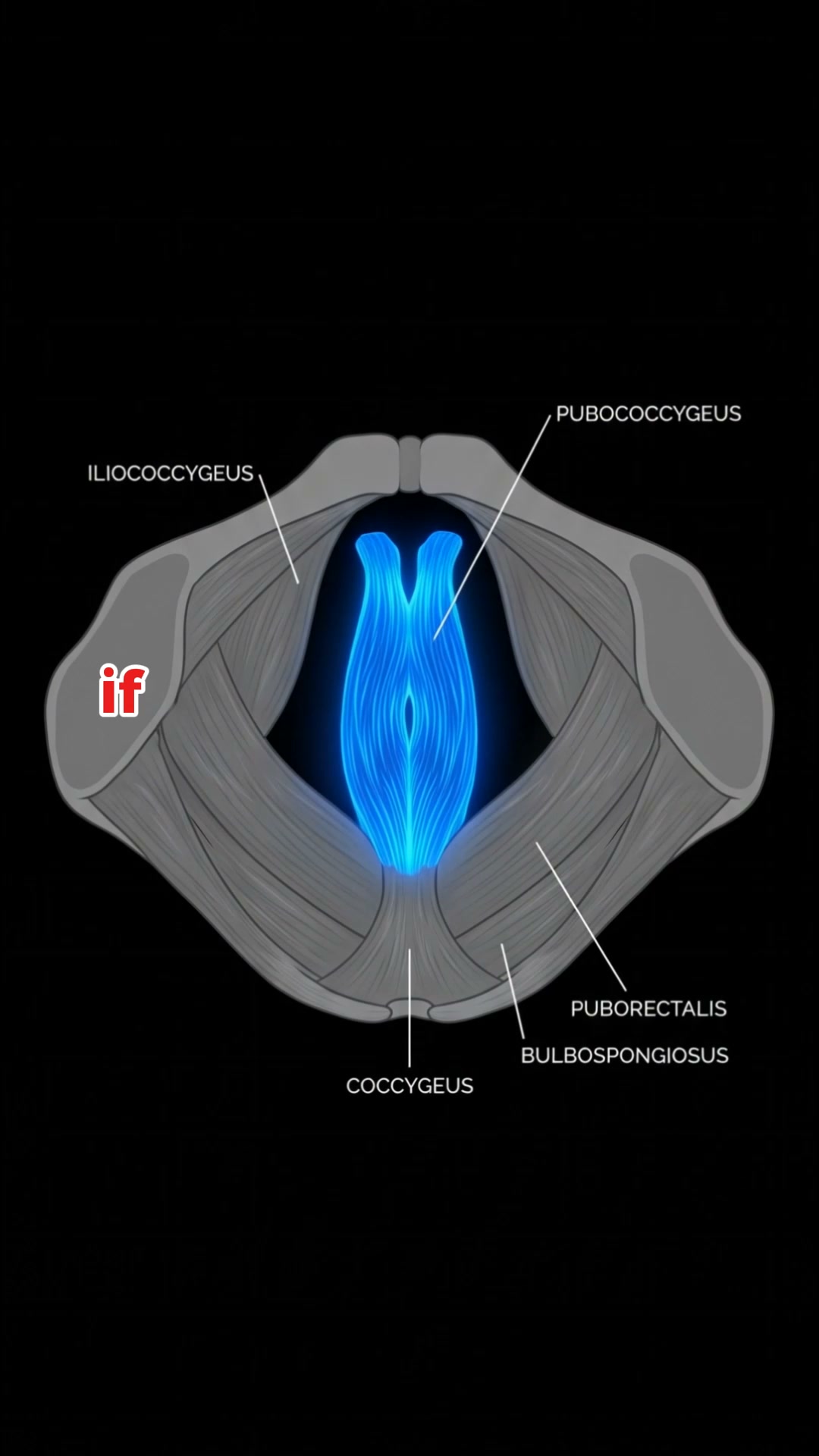Take Short Quiz & Get Your Plan to Improve Men's Health