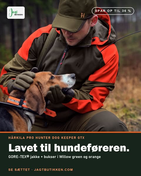 Spar 2.900 kr på sættet