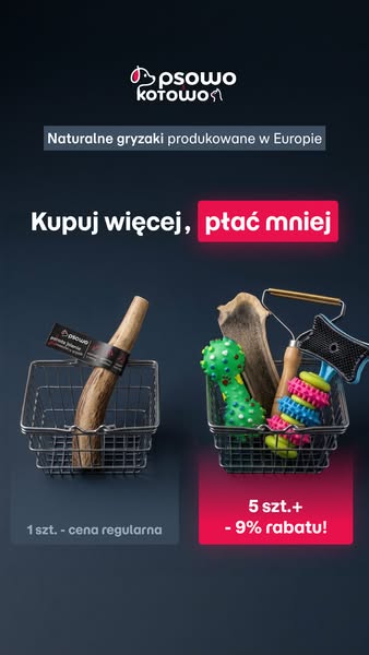 Kup teraz ser himalajski dla psa
