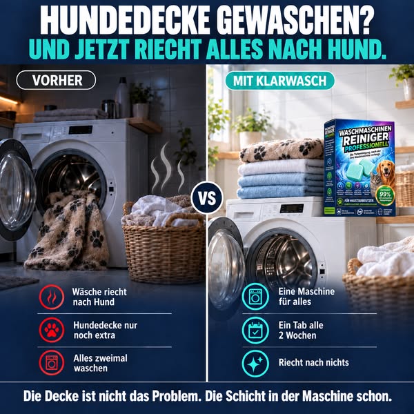 Hundegeruch raus aus der Waschmaschine
