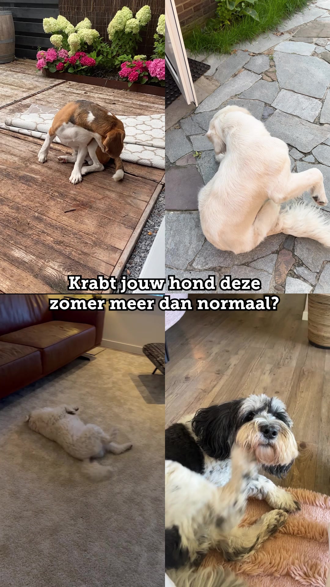Complete verzorging voor de gevoelige huid