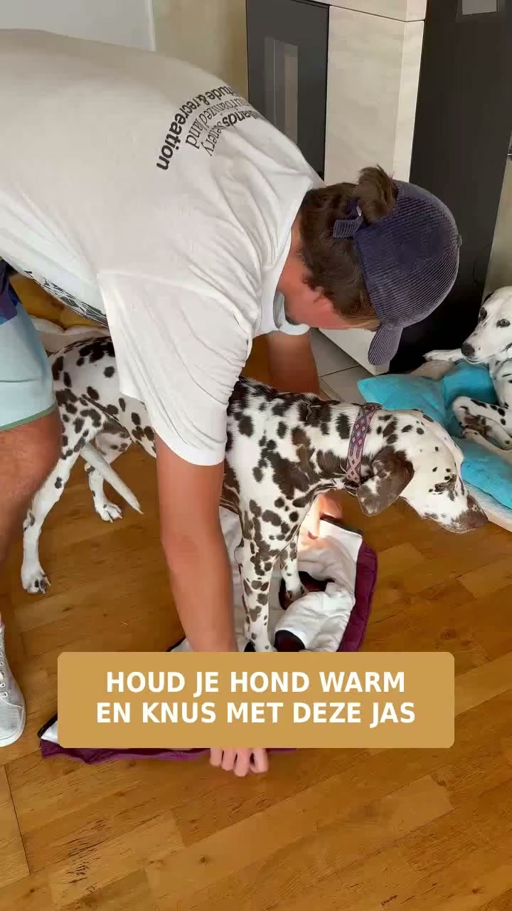 Jas en harnas in één