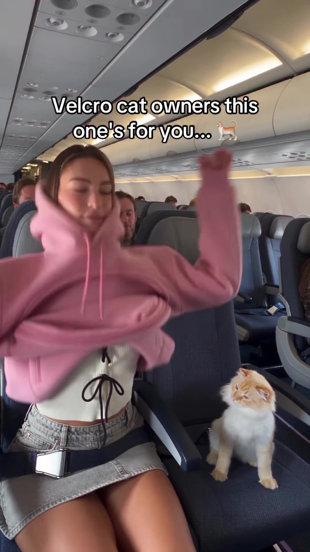 The Hoodie With a Pocket for Your Cat