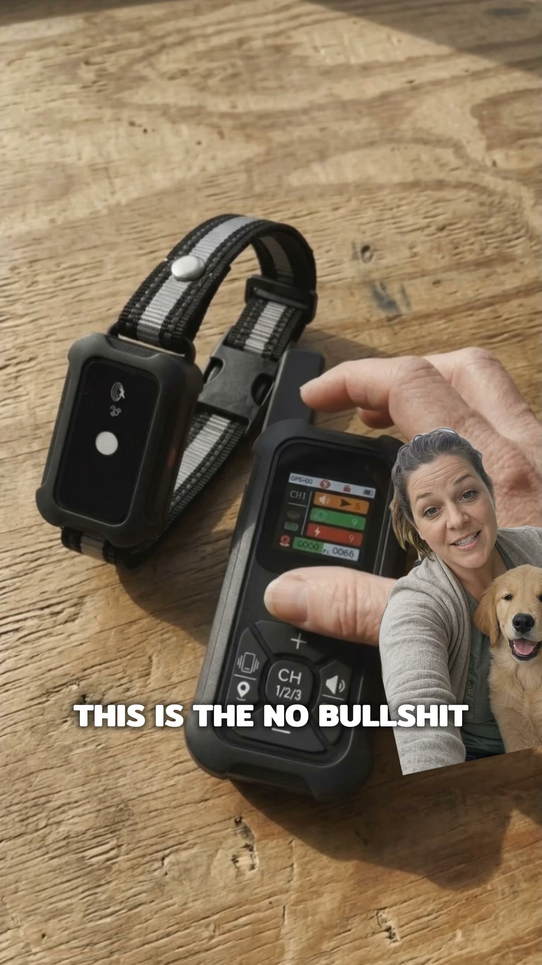 How Dog Trainers Handle Escape Artists
