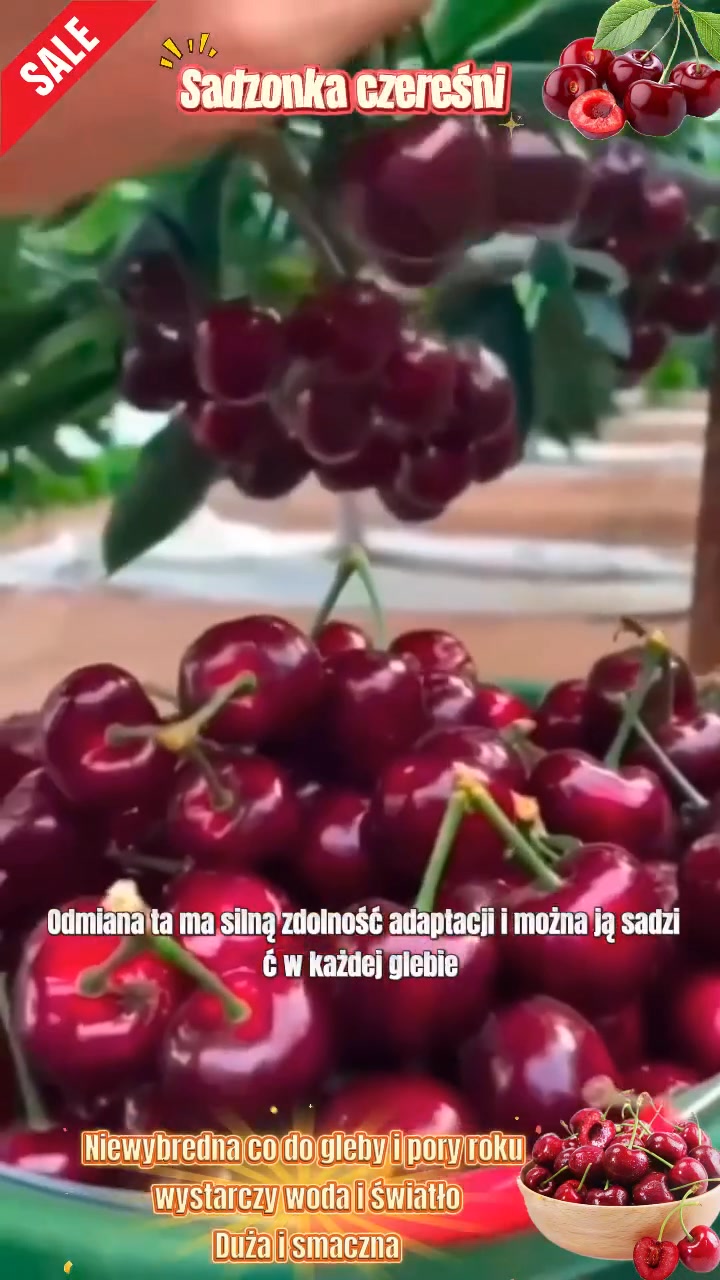 Anúncio de Liccuyb-shop