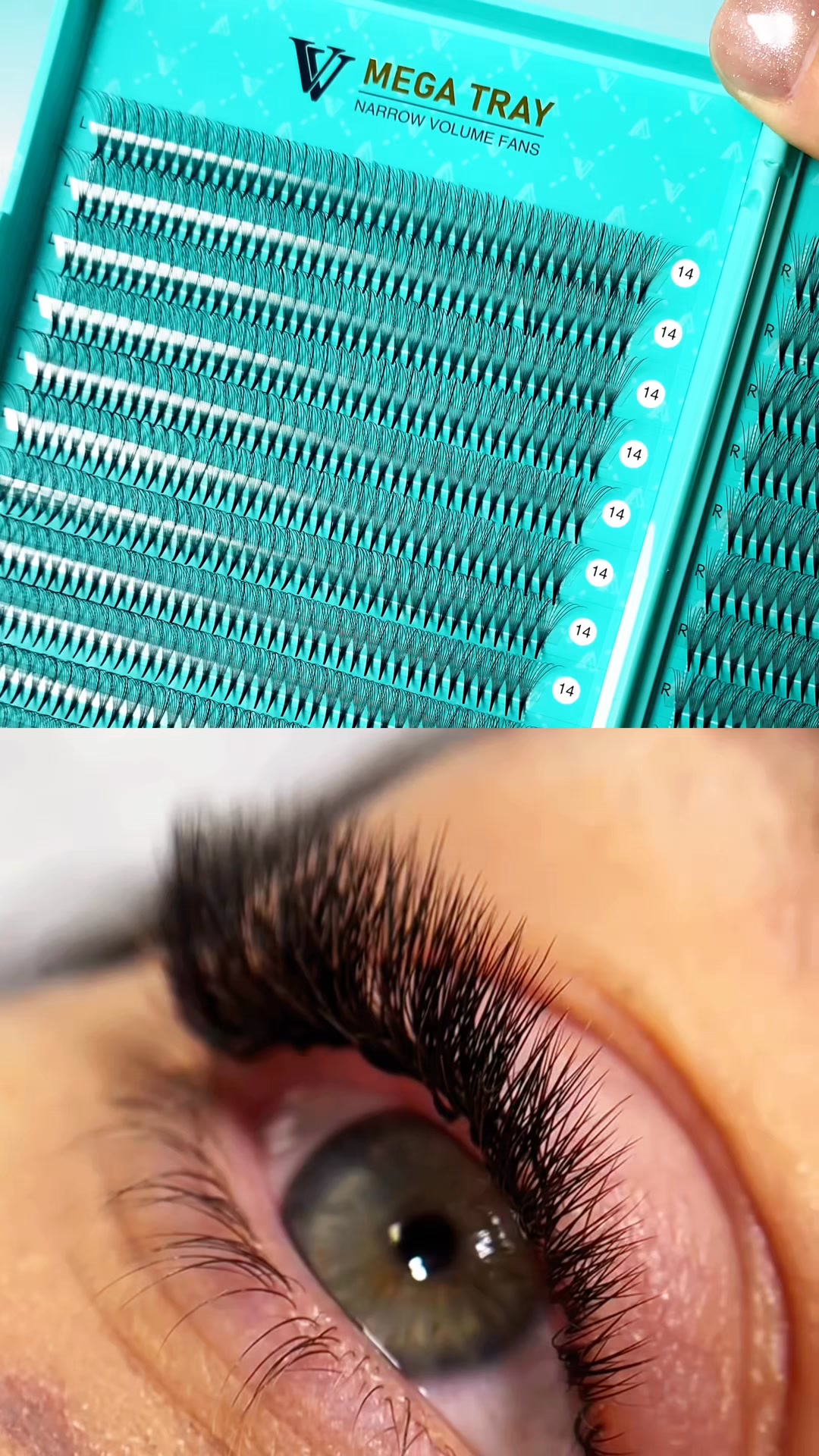 Lashbook 30% OFF