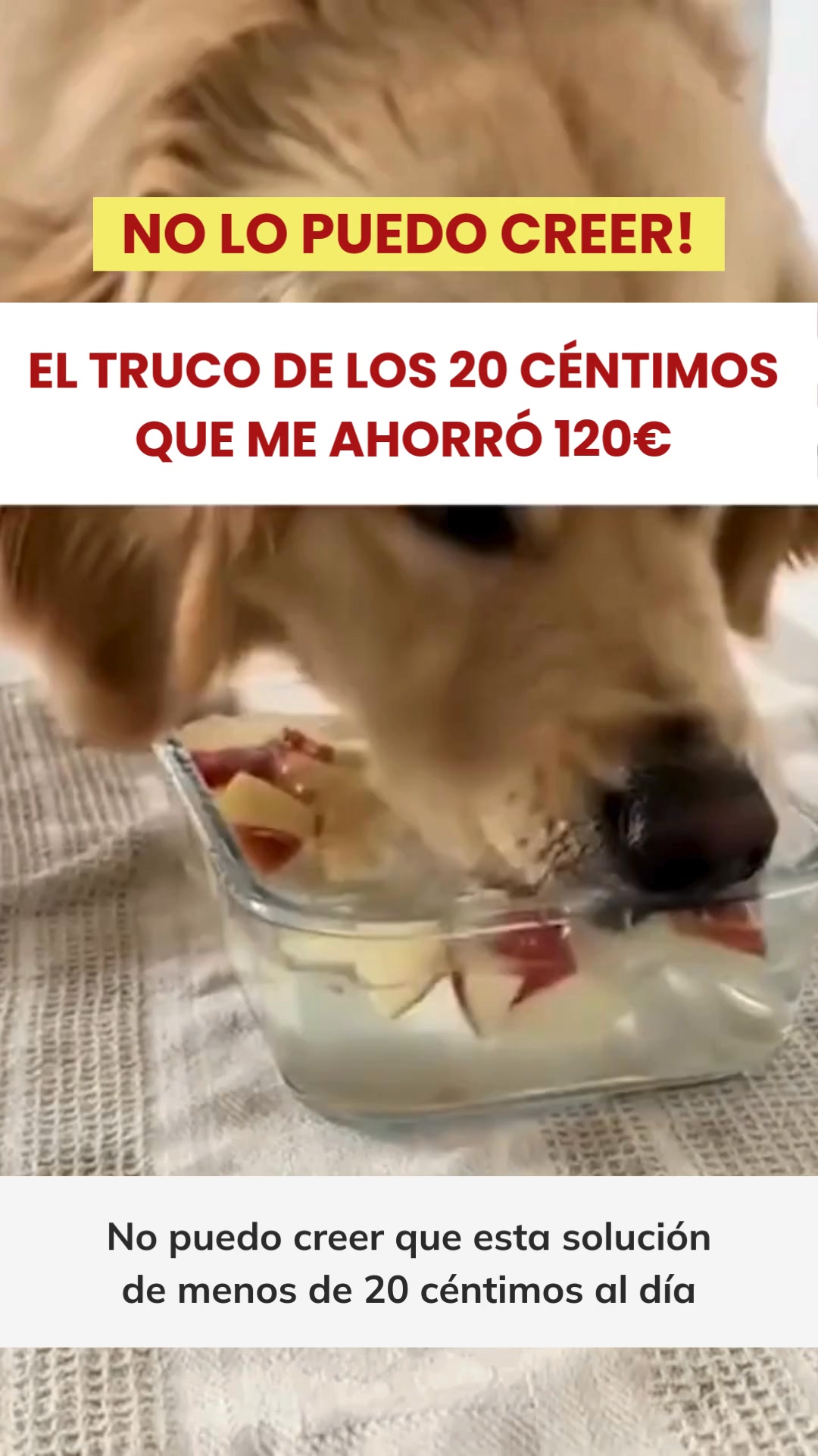 Envío Gratis. Entrega 24-72 horas