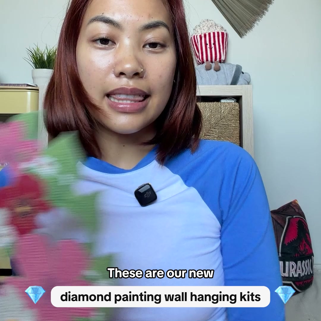 New Diamond Painting Wall Art Kits