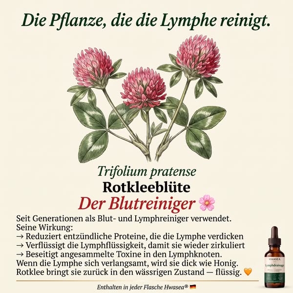Genug davon, dich im Spiegel nicht mehr zu erkennen.