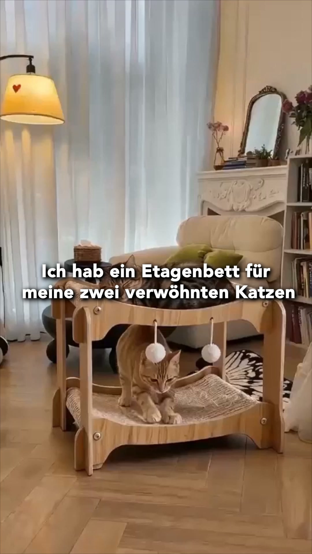 #1 Katzenliege