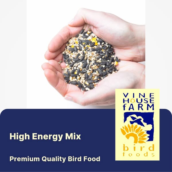 High Energy Mix