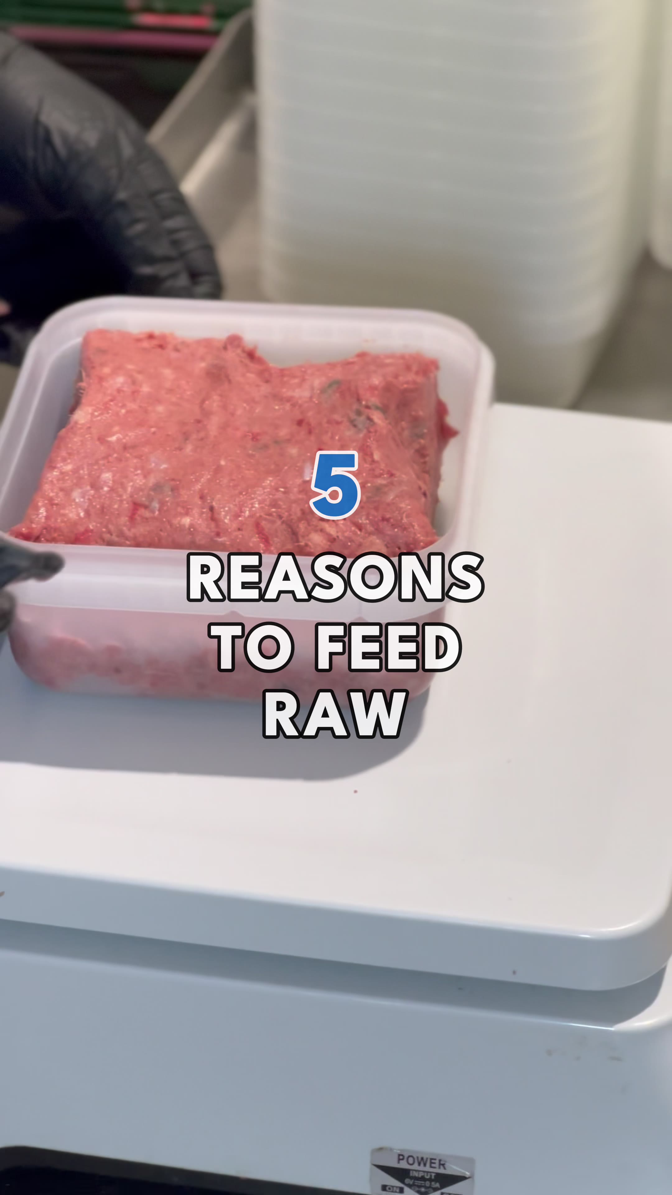 Discover The Benefits Of Raw