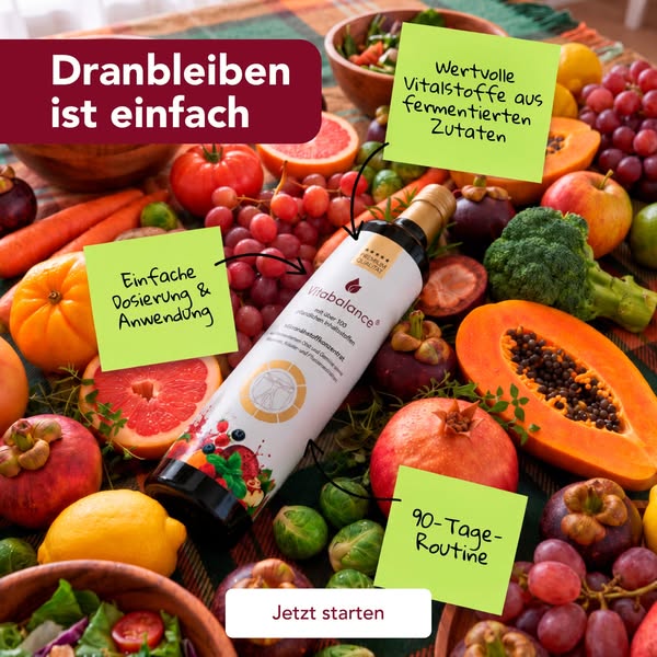 Vitabalance® Starterset