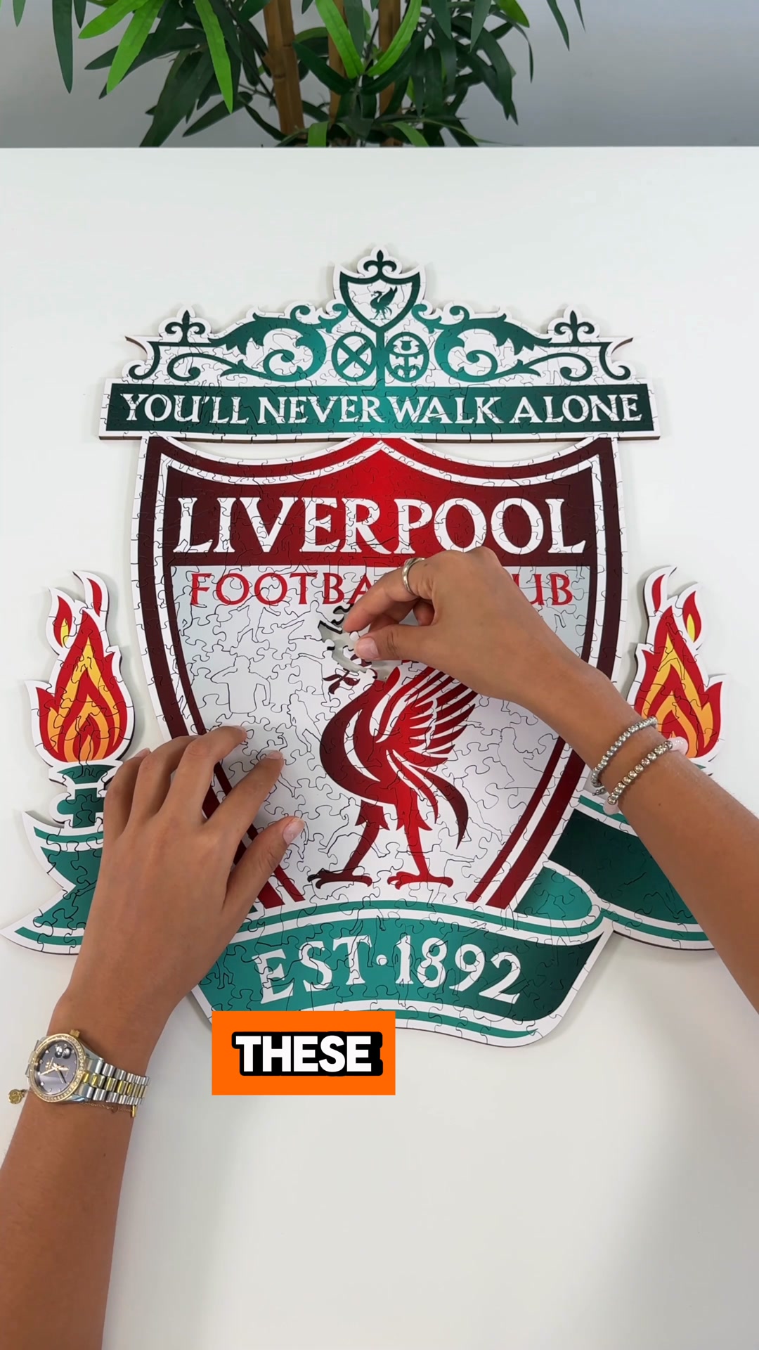 A special gift any fan will love