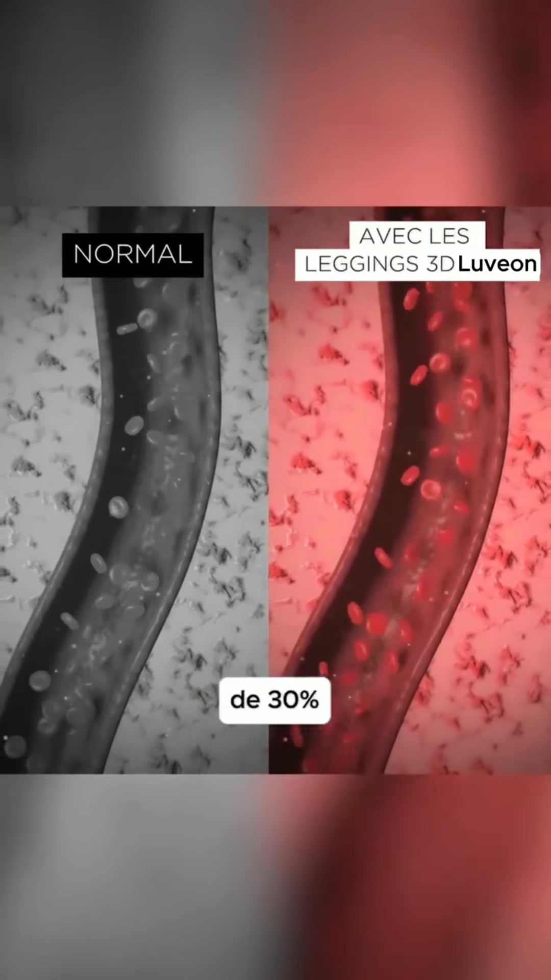 ACHETÉ = 1 OFFERT • Livraison gratuite