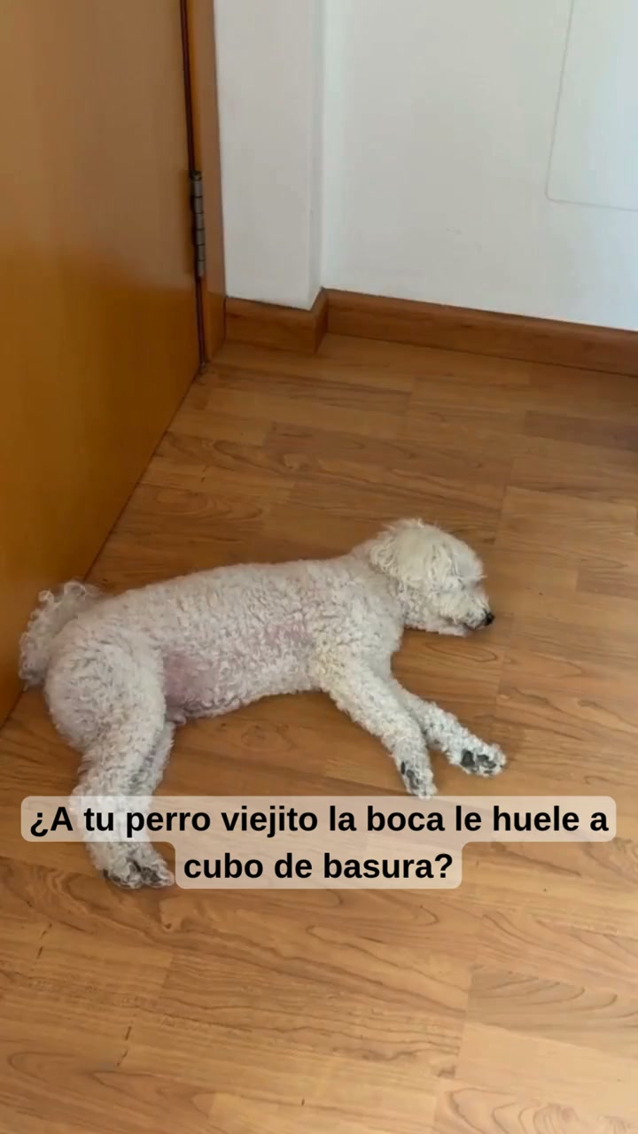 Envío Gratis. Entrega 24-72 horas