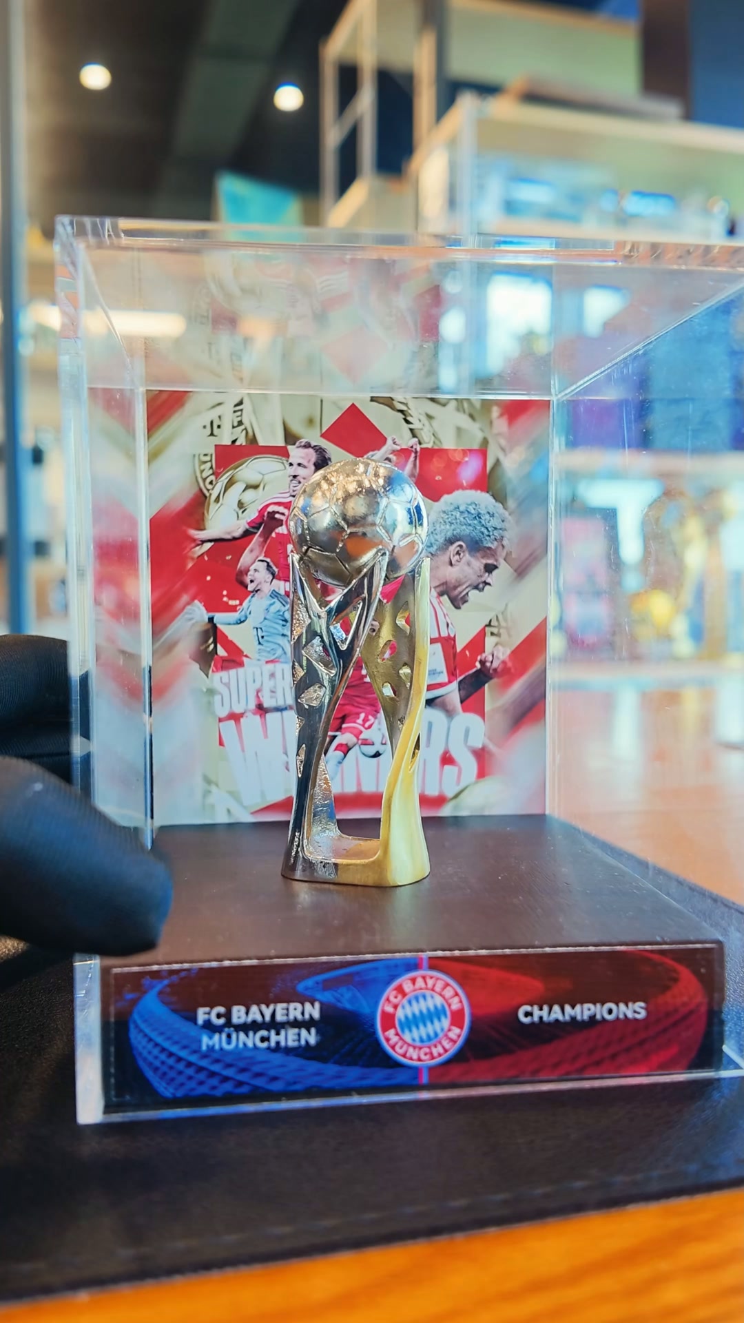 Anúncio de Trophy & Pigskin Nation