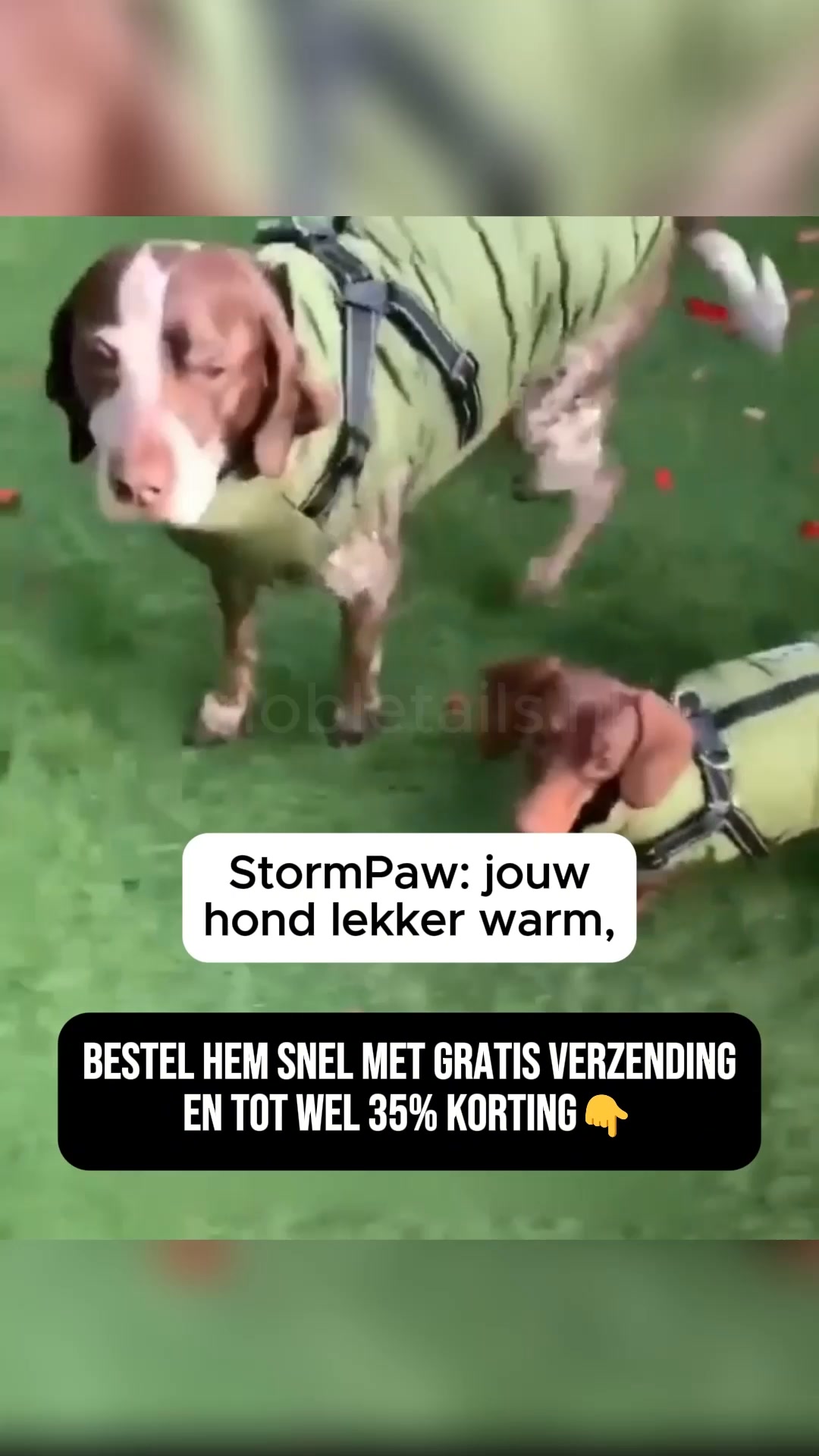 Samen weer genieten van elke wandeling