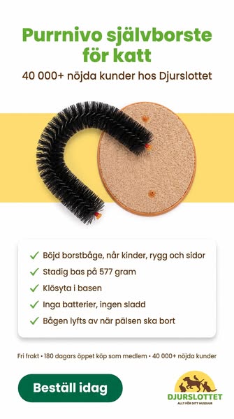 Självborste och klösyta i ett