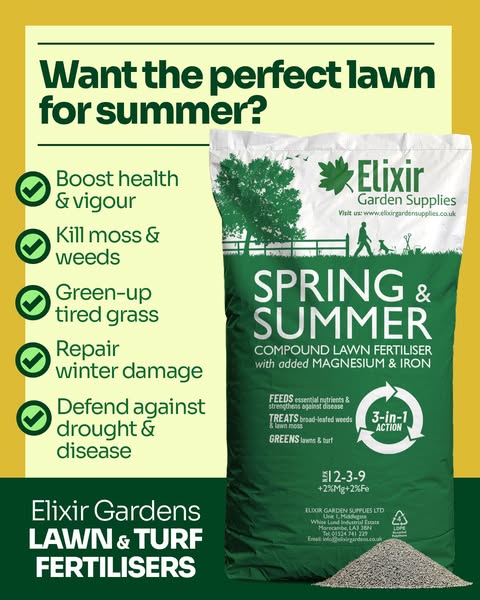 The Perfect Lawn Starts Here