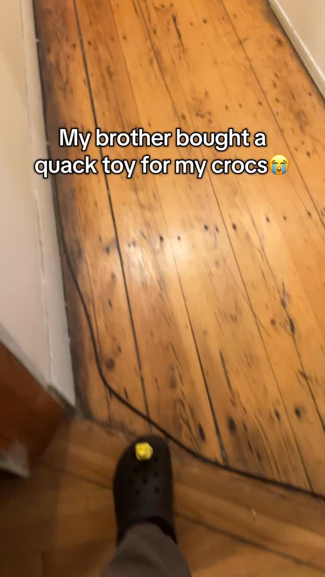 Fidget Toy that QUACKS?!