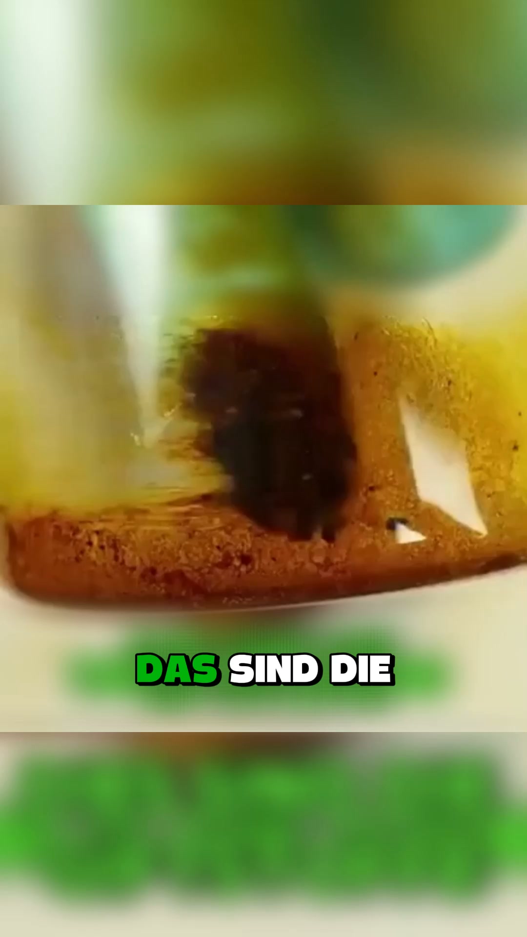 Die effektivste Lösung zur Reinigung der Lunge!