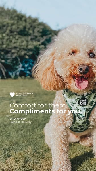 Comfort for Them. Compliments for You.