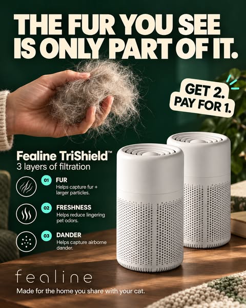 Tired of That Cat Pee Smell?