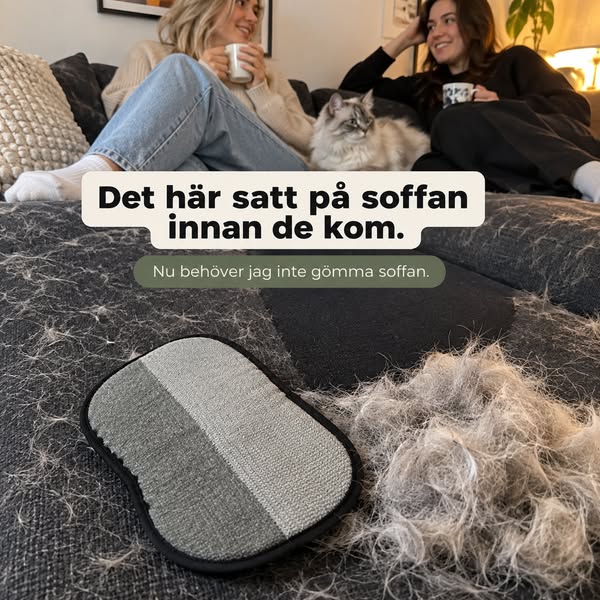 Älskar katten. Inte katthåret.