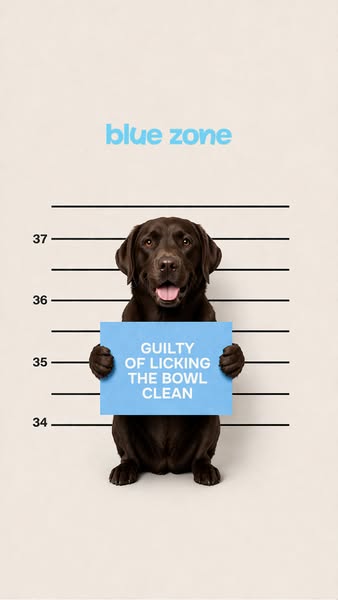 Done with ultra-processed food? So is your dog.