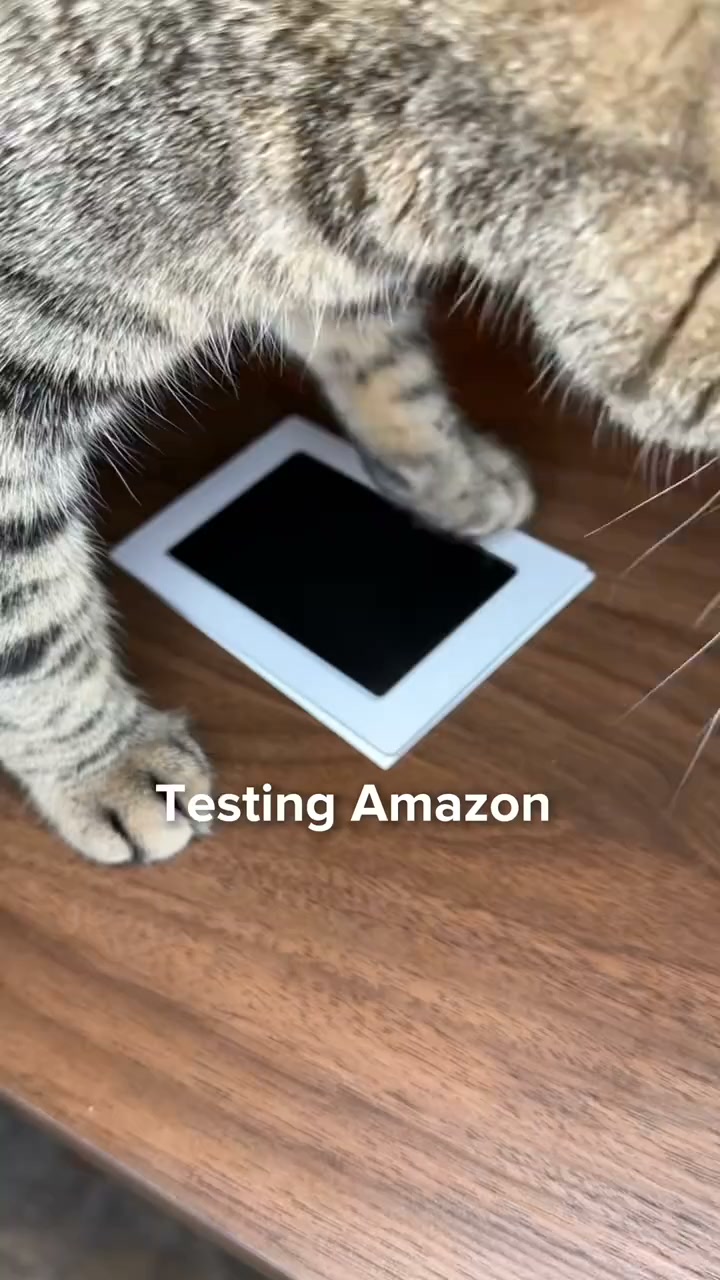 Turn Their Tiny Paw Into A Keepsake