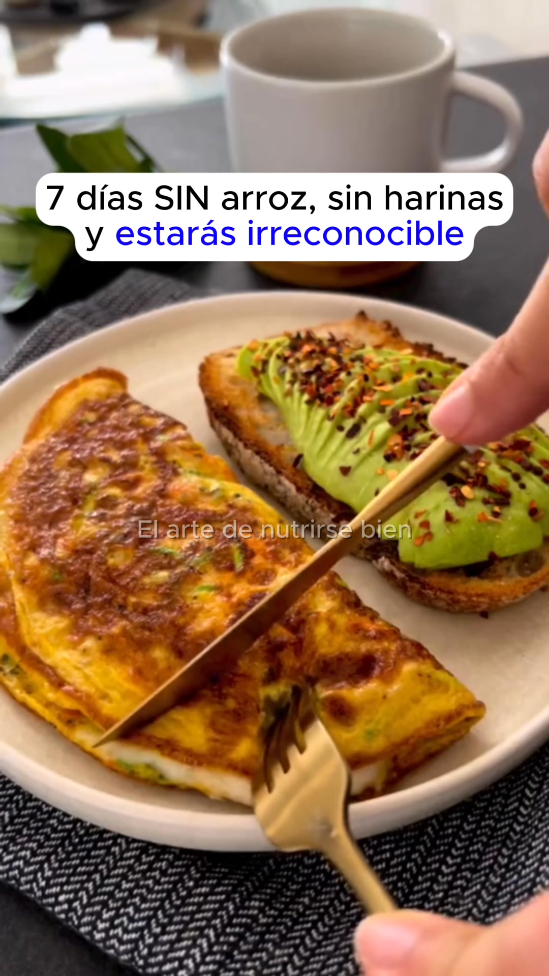 +3,842 DESCARGAS