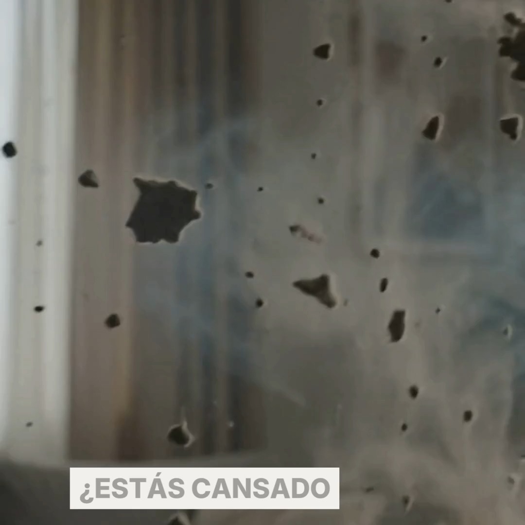 Lo que dicen quienes ya lo tienen